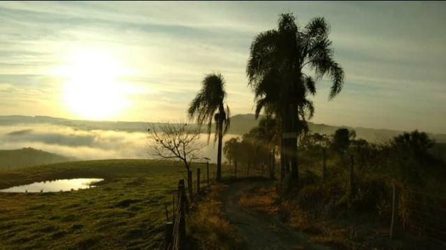 Sitio a Venda no bairro Área Rural - Prudentópolis, PR - Foto 14