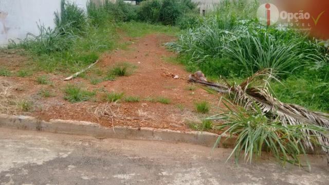 Terreno à venda, 300 m² por R$ 130.000,00 - Residencial Araujoville - Anápolis/GO - Foto 2