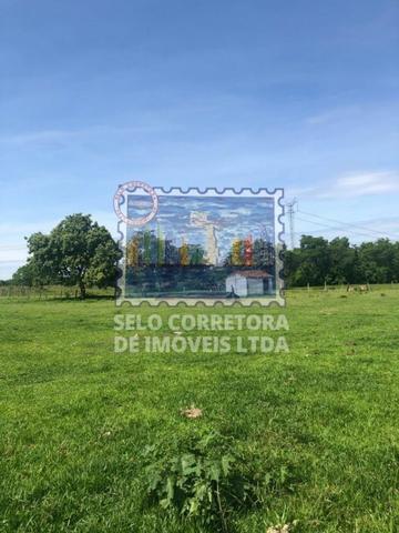Exelente Fazenda no Municipio De Cuiabá - Foto 14