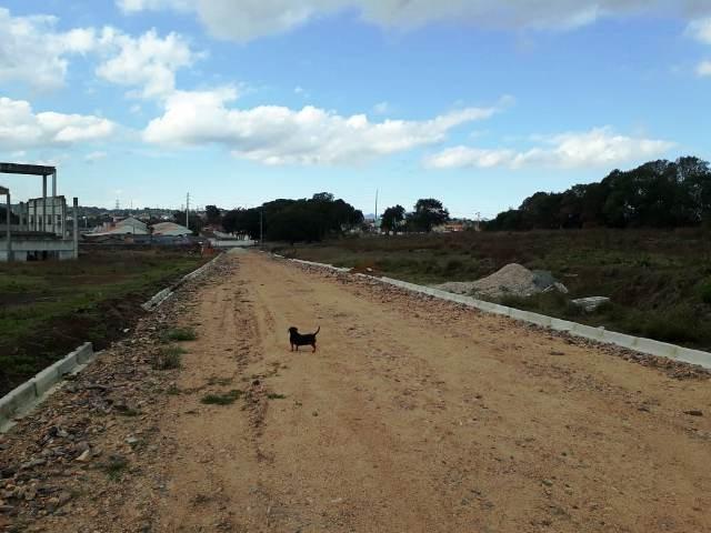 Terrenos Industriais - Foto 5