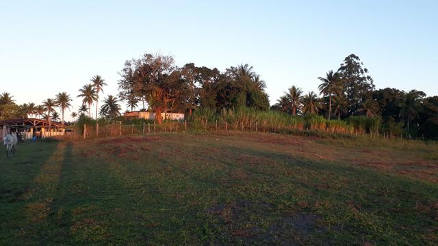 Fazenda em Mata de São João. BA - Foto 12