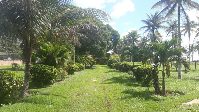 Fazenda em Mata de São João. BA - Foto 2