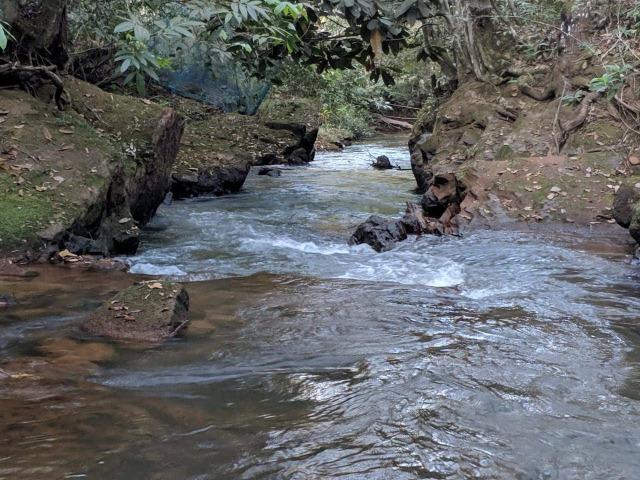 Chacara 6.000 m2 c 30 m beira Rio Cachoeirinha R$70 mil