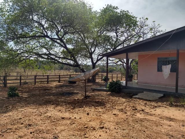 Fazenda Com 1.100 hectares Lago do Manso - Foto 20