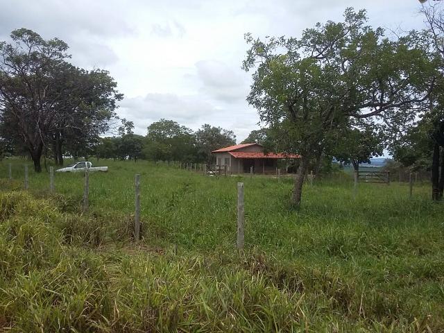 3 alqueires em São Miguel do Passa Quatro - Foto 2