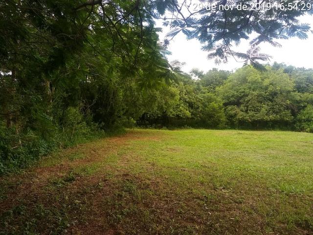 Chácara - Parque das Flores - Foto 10