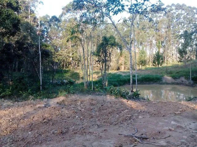 Terrenos para vc construir sua casa de campo a 2,5 km do mar  - Foto 9
