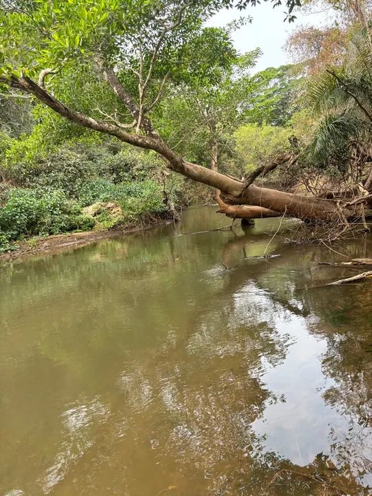 foto - Goiânia - Jardim Nova Esperança