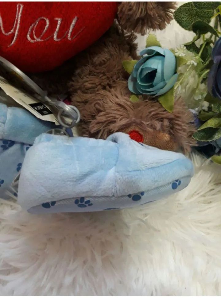 Blue Teddy Bear Shoes64304563716609124