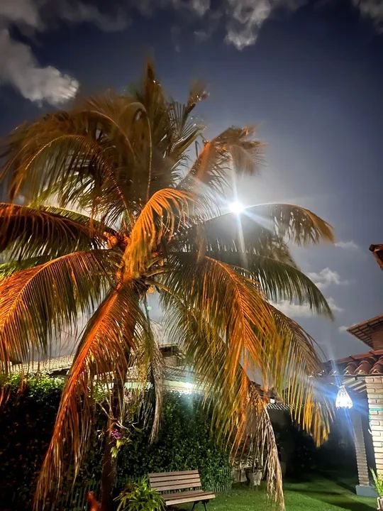 Hibiscus Casa Colonial 4/4 piscina SPA top  - Foto 3