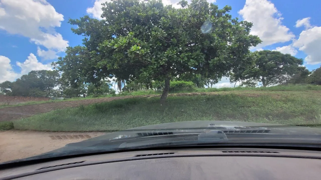 Lote próximo a carpina