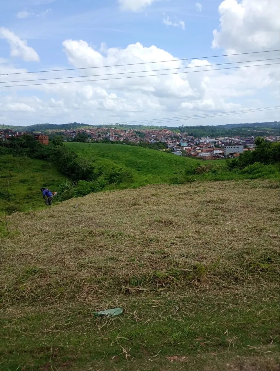 Foto - Santo Amaro - 