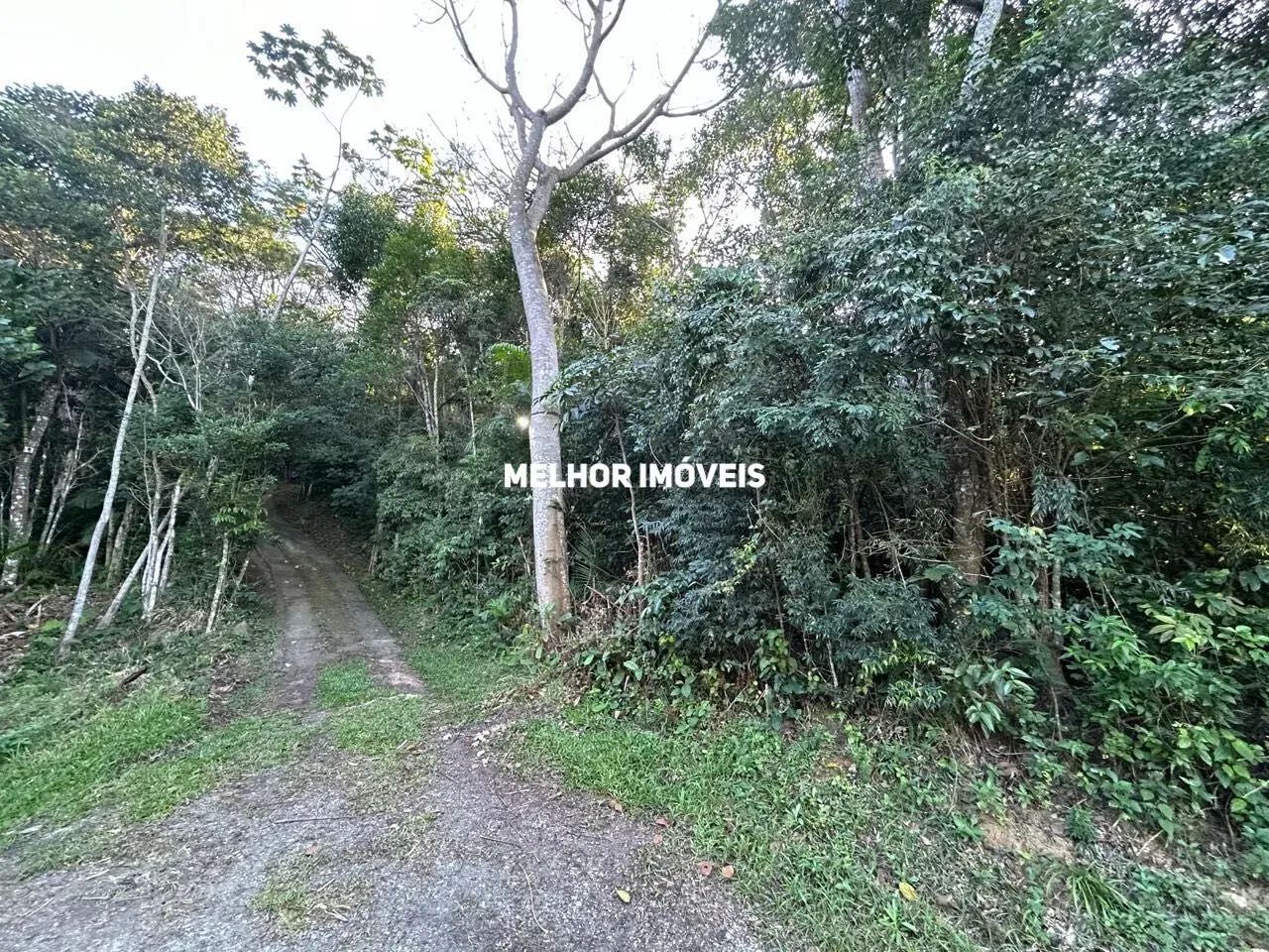 Terreno residencial à venda com 81.400 m² na Praia de Taquaras em Balneário Camboriú - Foto 5