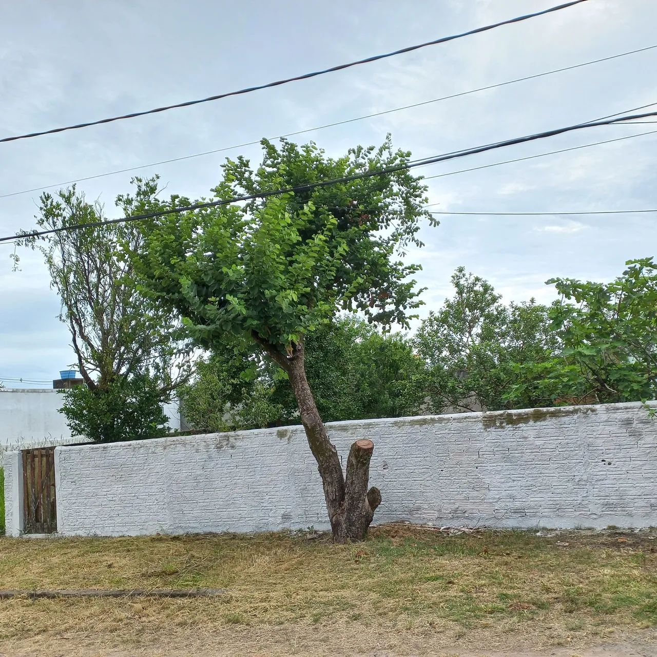 Vendo Terreno Murado em Bairro Bom de Morar - Foto 5
