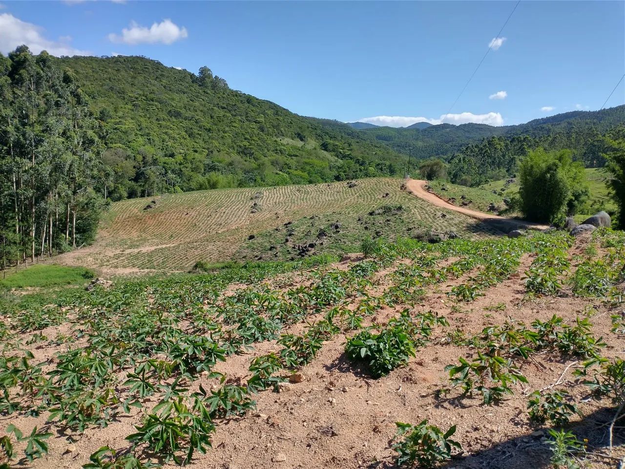 Terreno à venda em Fazenda rio das garças - Foto 3