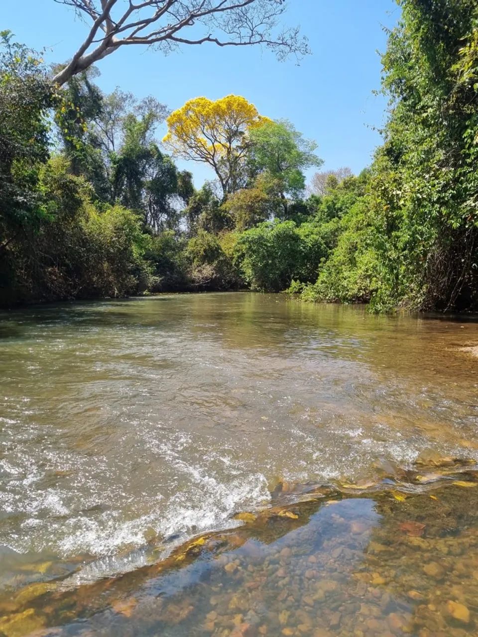 Chácara condomínio Trilhas do Cerrado GO 020
