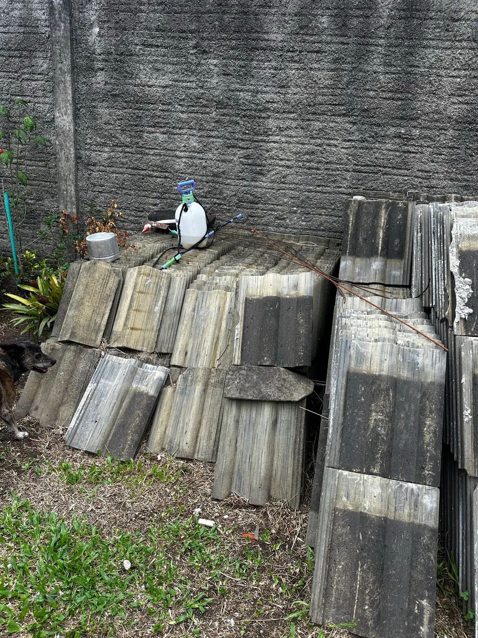 Telhas64842825369986123