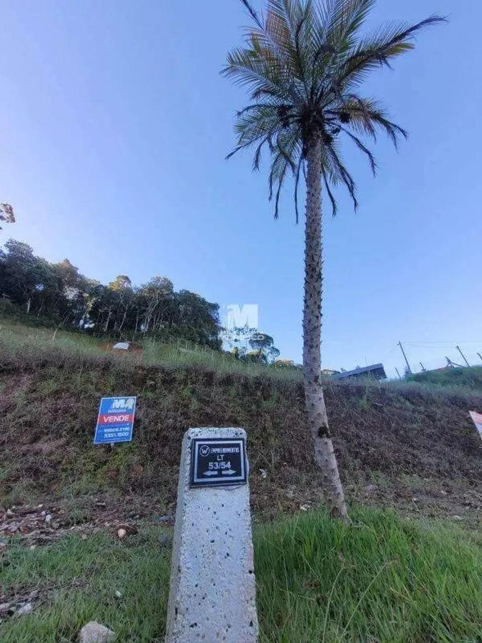 RECANDO DA LUA - SEU REFUGIO NO BATEAS - LOTES DE 240 A 469,00 MTS - Foto 5