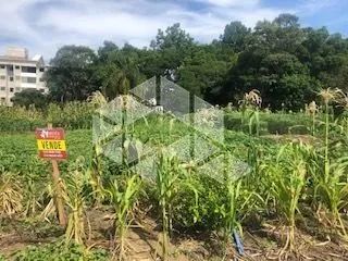 Excelente terreno em bairro nobre - Foto 5