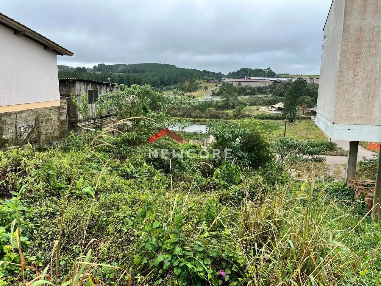 Lote em Rua Gilberto de Zorzi - São Miguel - São Francisco de Paula/RS - Foto 5
