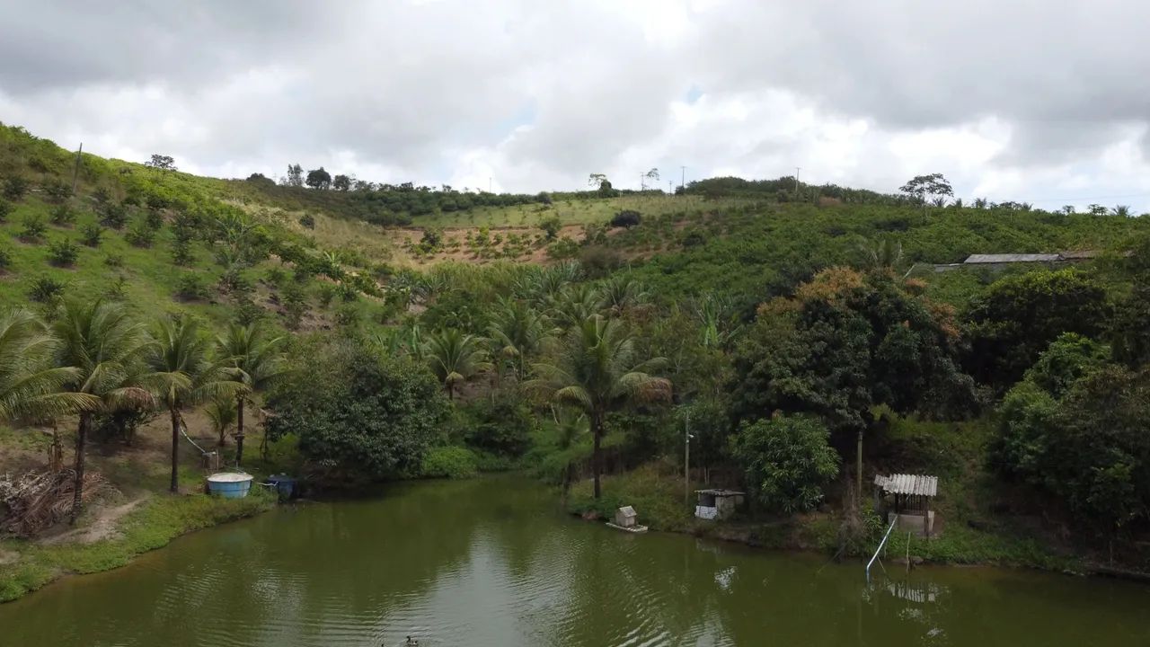 Propriedade rural à venda - 5 km de Chã Grande  PE. - Foto 2