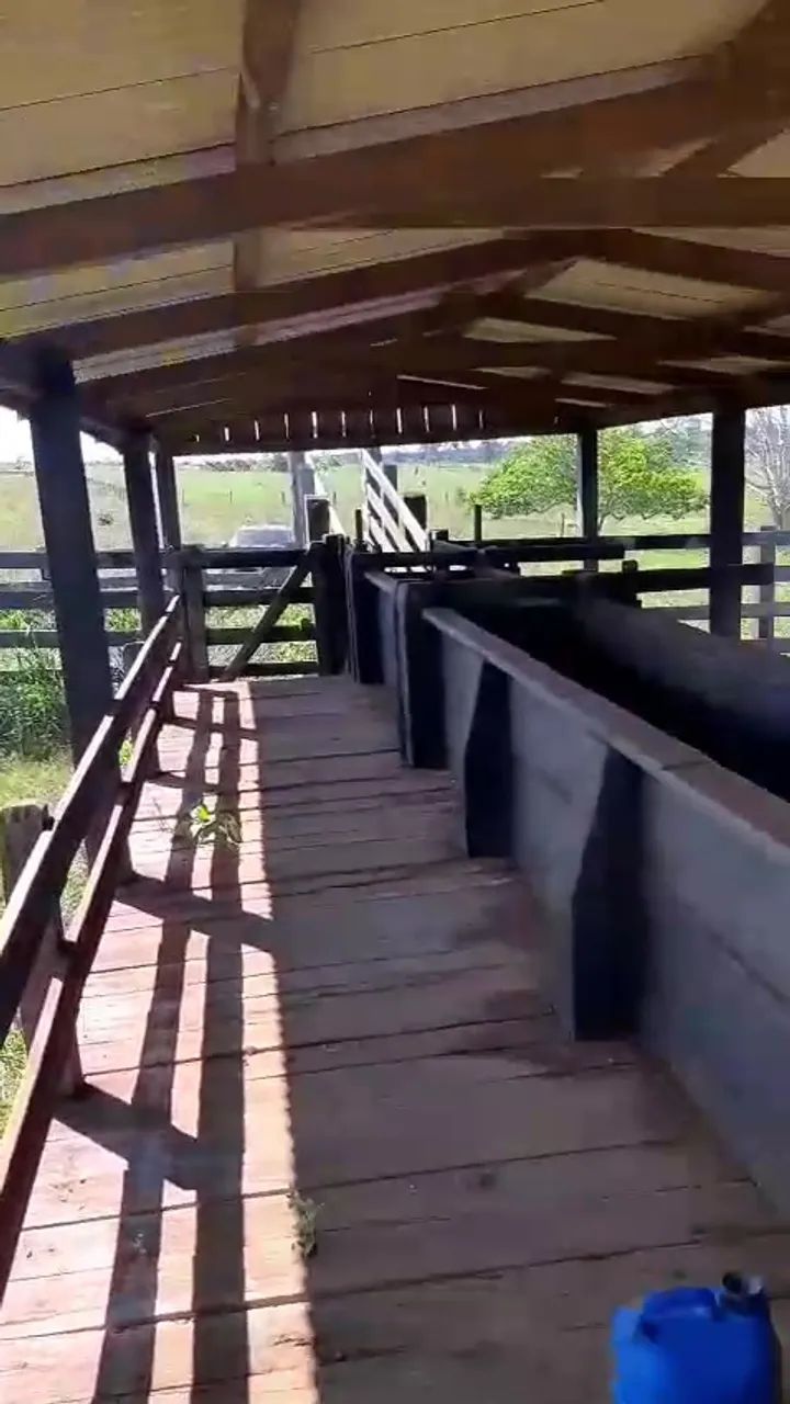 Fazenda em Juara - 100 hectares - Excelente Forma