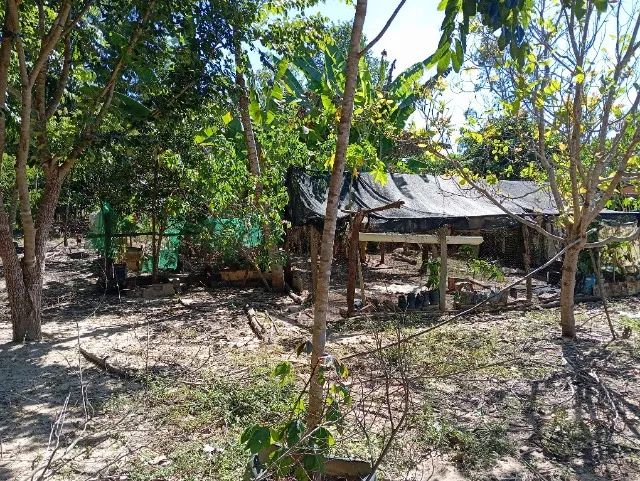 Fazenda à venda em Lagoa do Tocantins - TO | 96,13 hectares - Foto 5