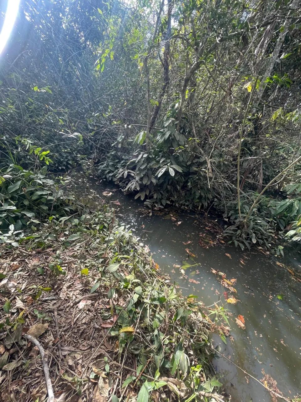 Chácara em Abadiania  - Foto 4