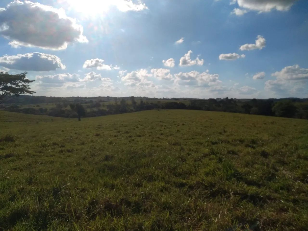 Sítio 6 alqueires em Pacaembu -SP - Foto 4