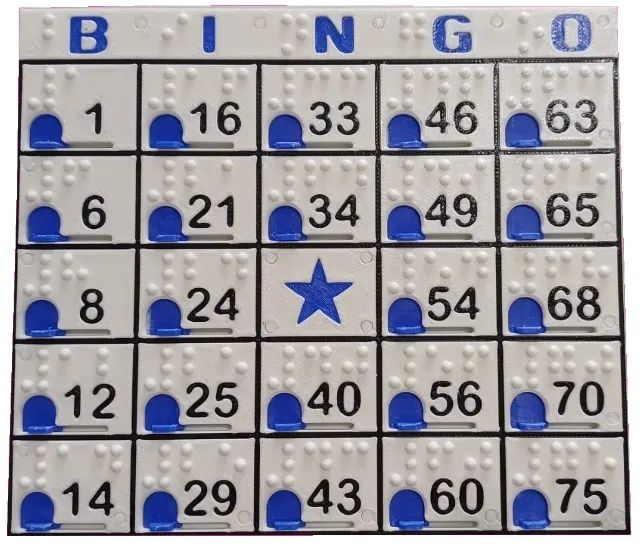Cartela de BINGO para deficientes visuais