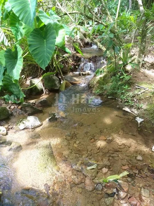 Chácara à venda em Angelina/SC - Foto 5