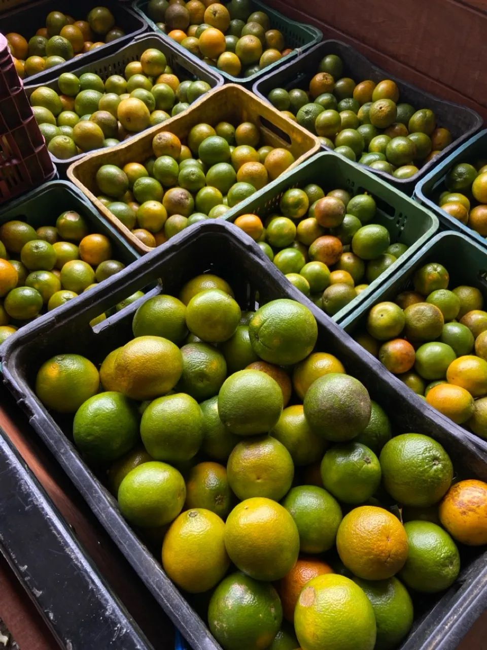 LARANJA PÊRA - CAIXA COM 25kg64309300807811122