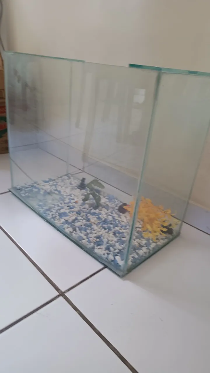 Aquário 50x40x25