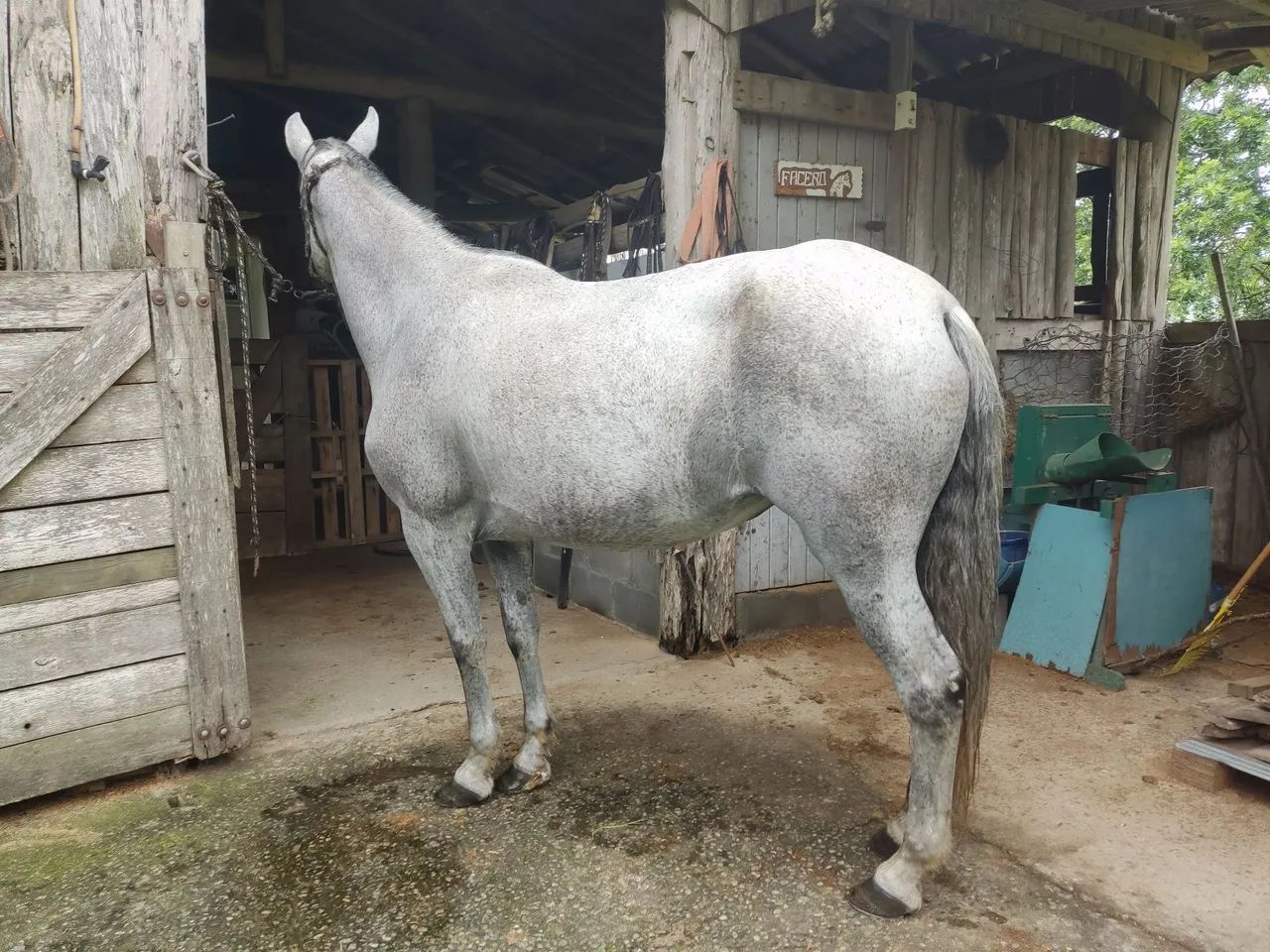 MARCHA PICADA!!! - Foto 4