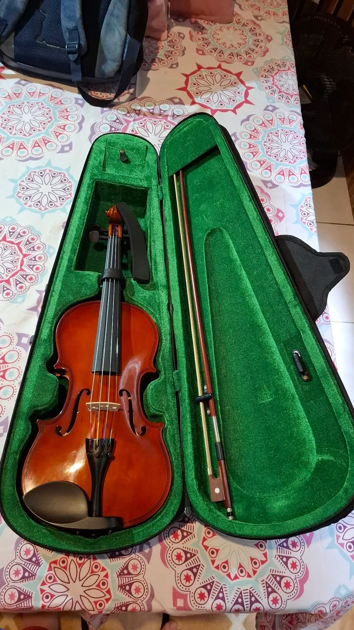 Violino em perfeito estado com acessórios