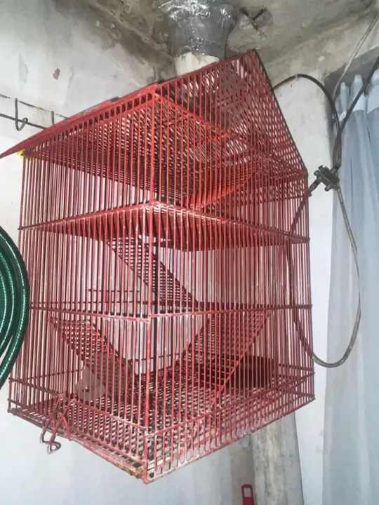 Gaiola para animais pequenos - Foto 2