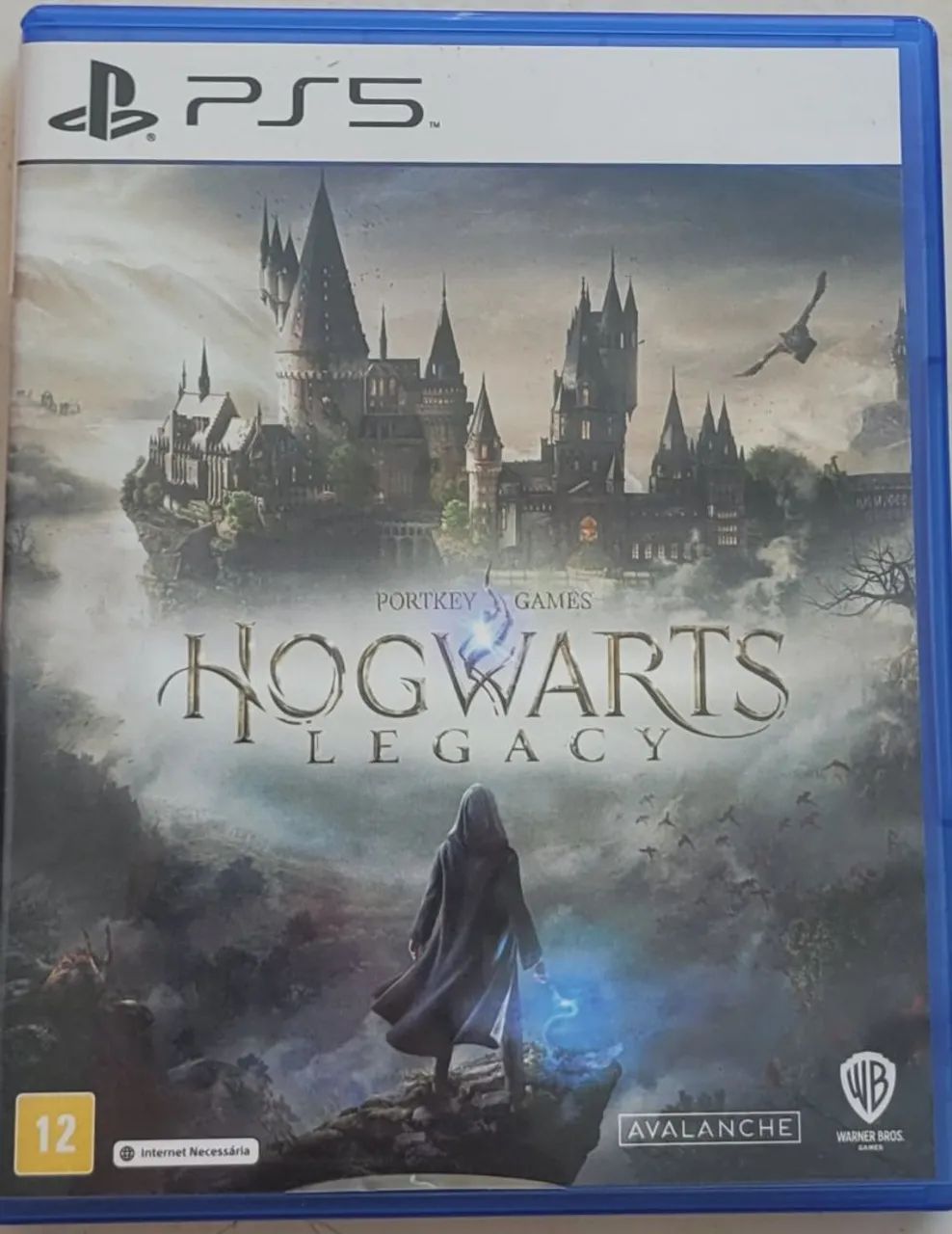 Hogwarts legacy usado ps5
