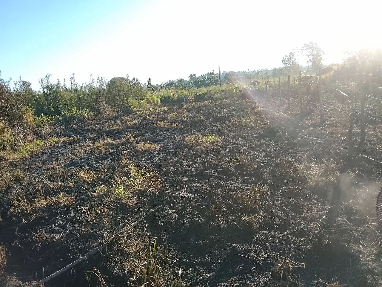 Vendo Terreno no ramal Santa Rosa  - Foto 3