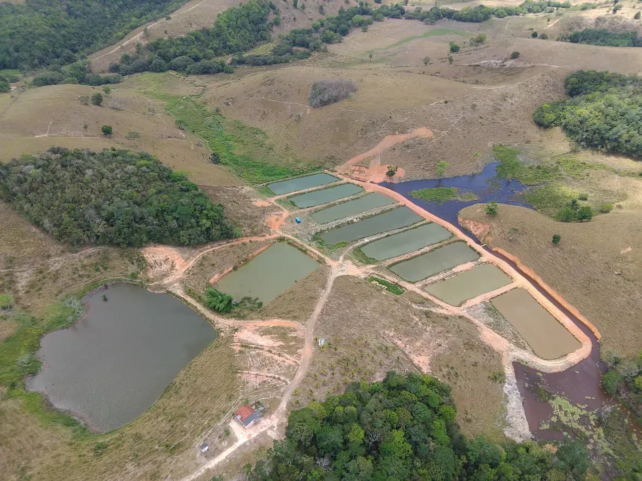 Imóvel para venda com 30250 metros quadrados com 4 quartos - Foto 3