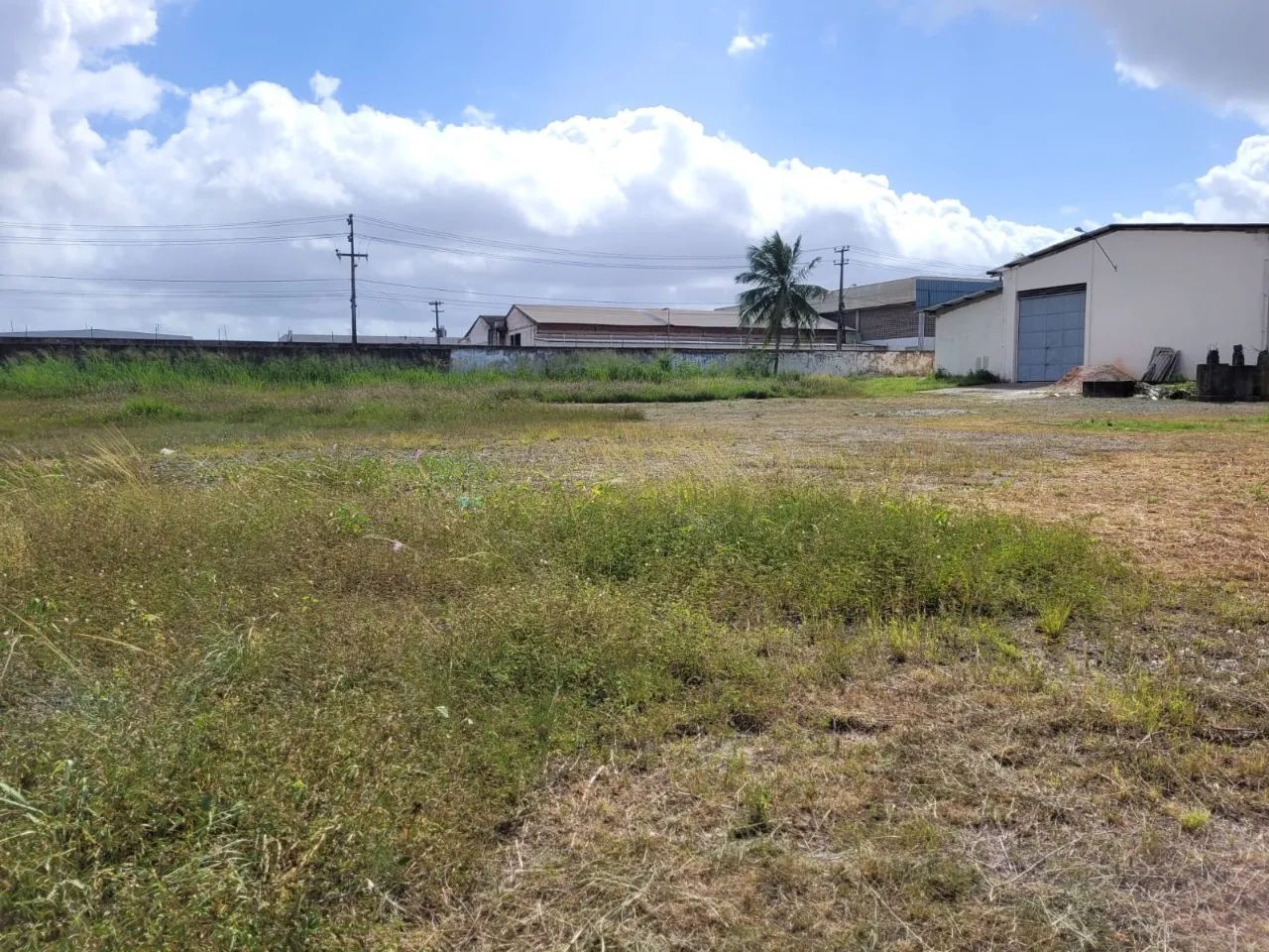 GALPAO COMERCIAL em SÃO LUÍS - MA, VILA ITAMAR - Foto 5