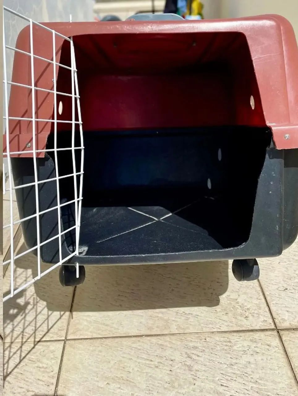 Caixa Transporte para Pet - Foto 3