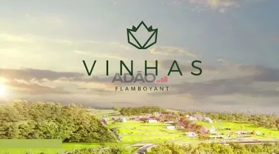 LOTEAMENTO VINHAS FLAMBOYANT 250M