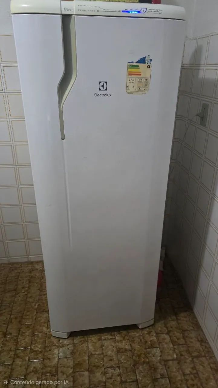 Geladeira Electrolux rfe39 322L frost free
