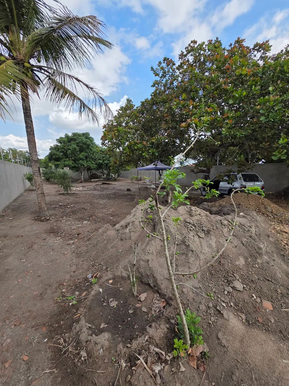 Chácara próximo a Campina - Foto 3