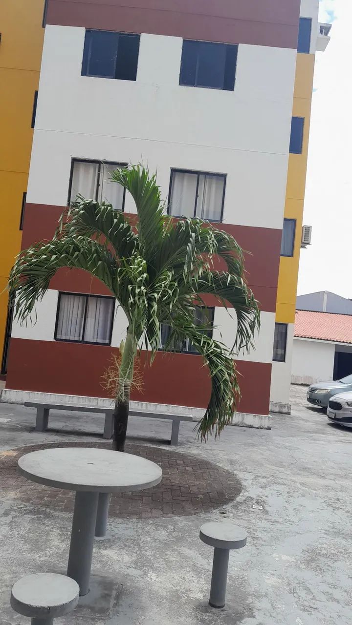 APARTAMENTO  PADRÃO  - Foto 5