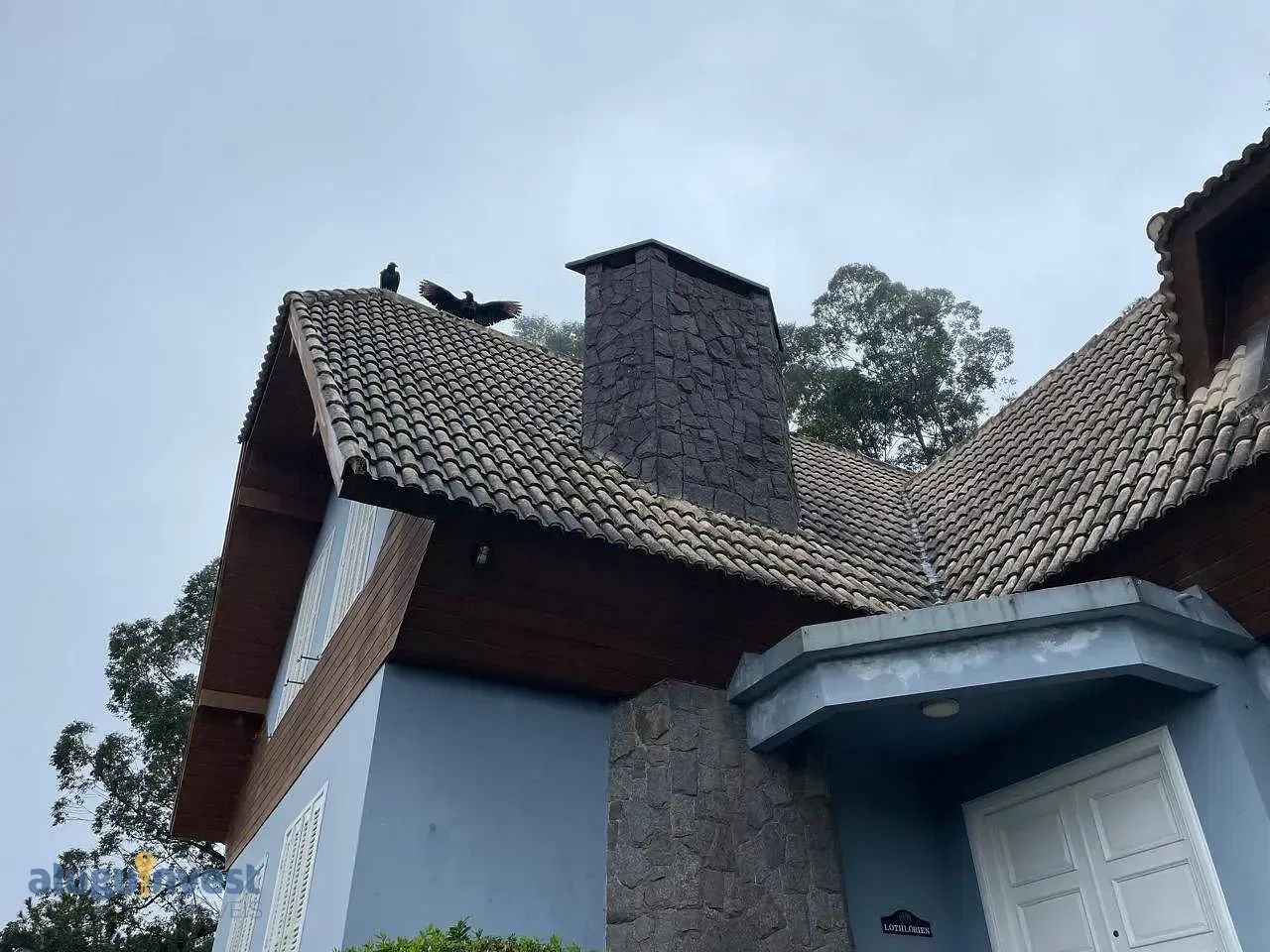 Casa para locação, João Paulo, Florianópolis, SC - Foto 2