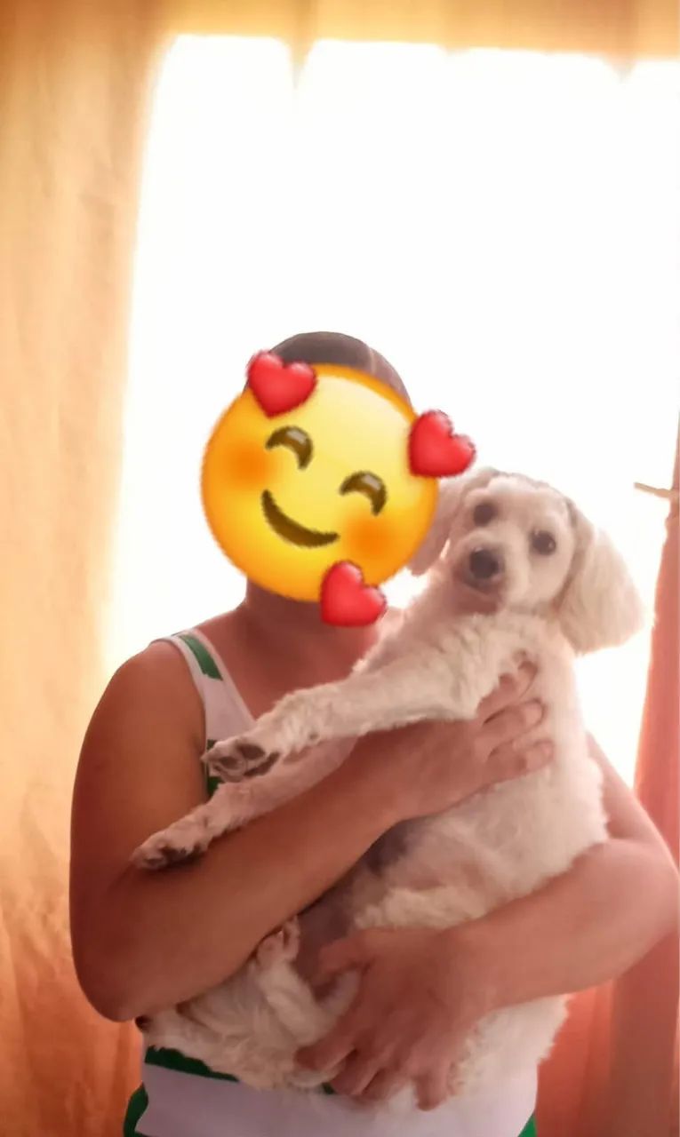 Adoção com amor e muita responsabilidade  - Foto 2