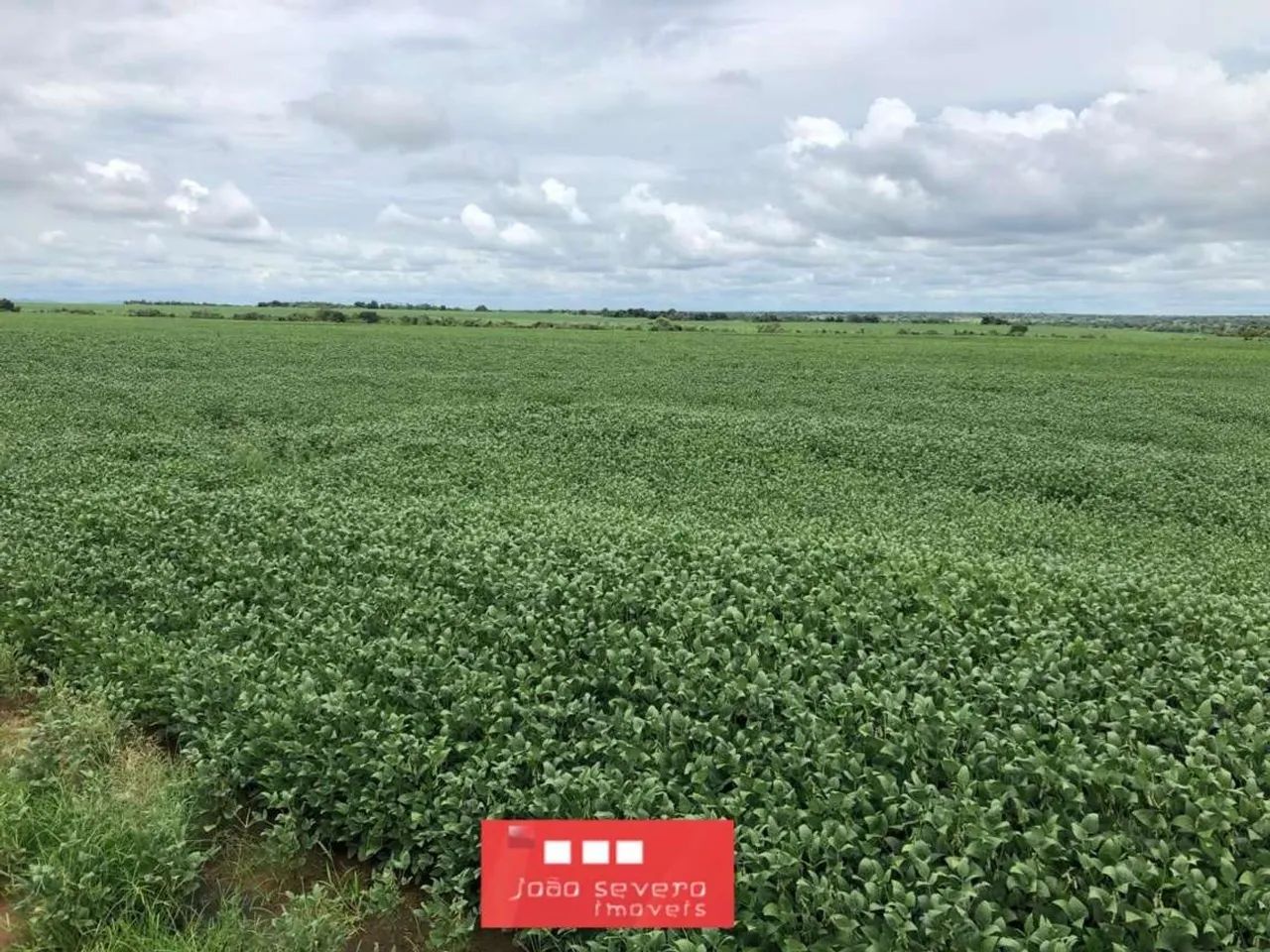 Fazenda para Venda em Britânia - Foto 4