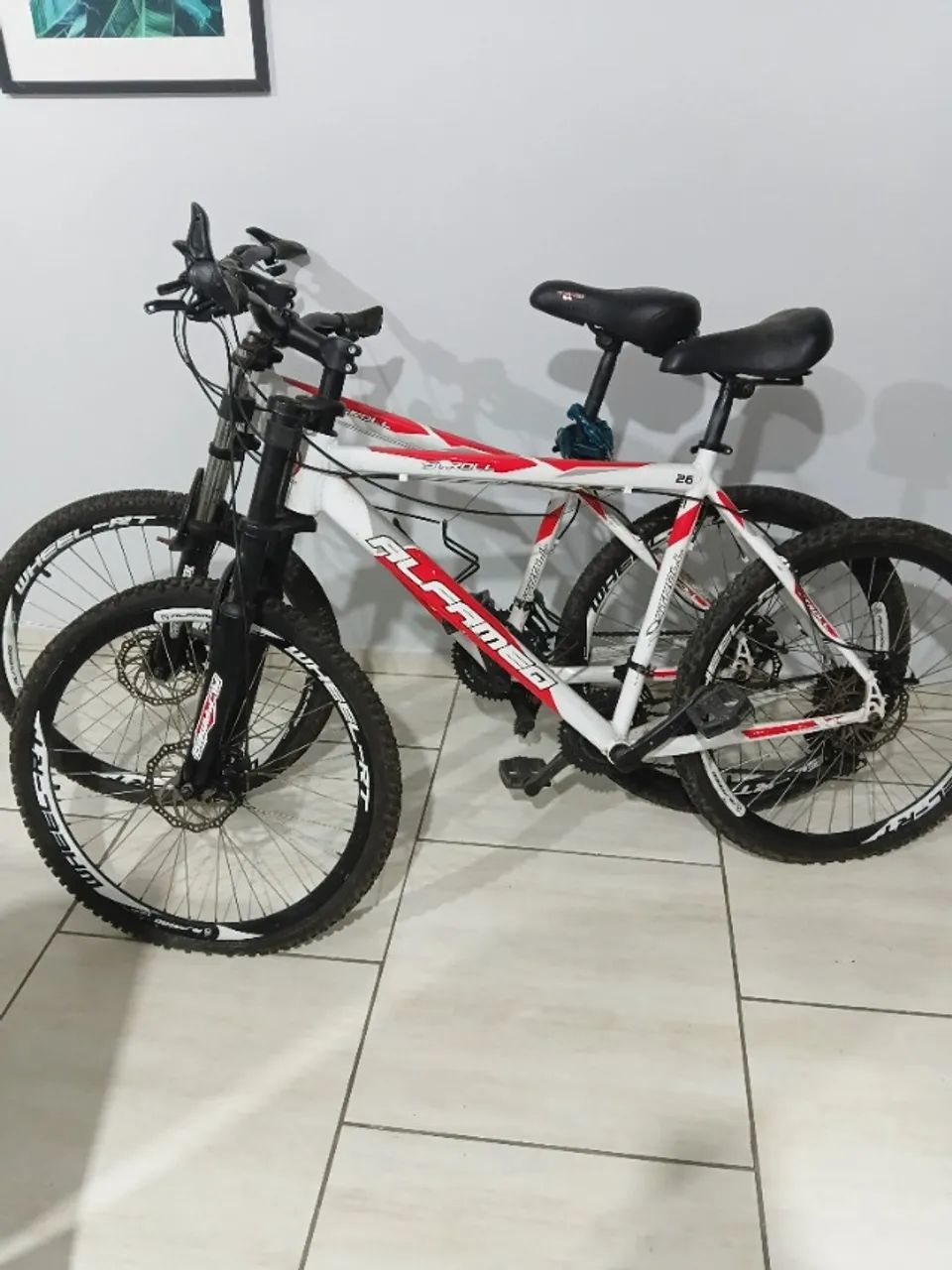 Bicicleta alfamec 