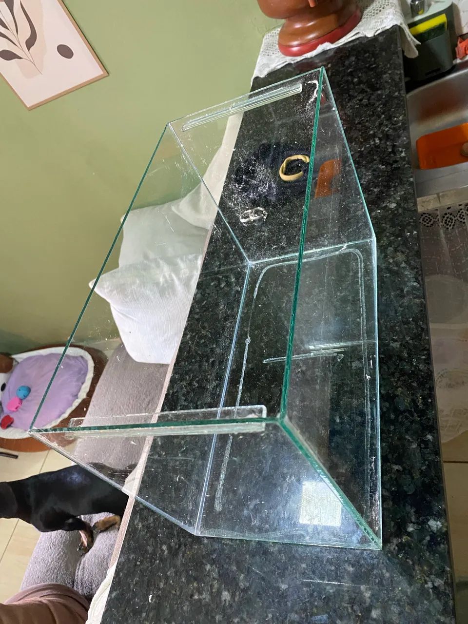 AQUÁRIO  - Foto 2